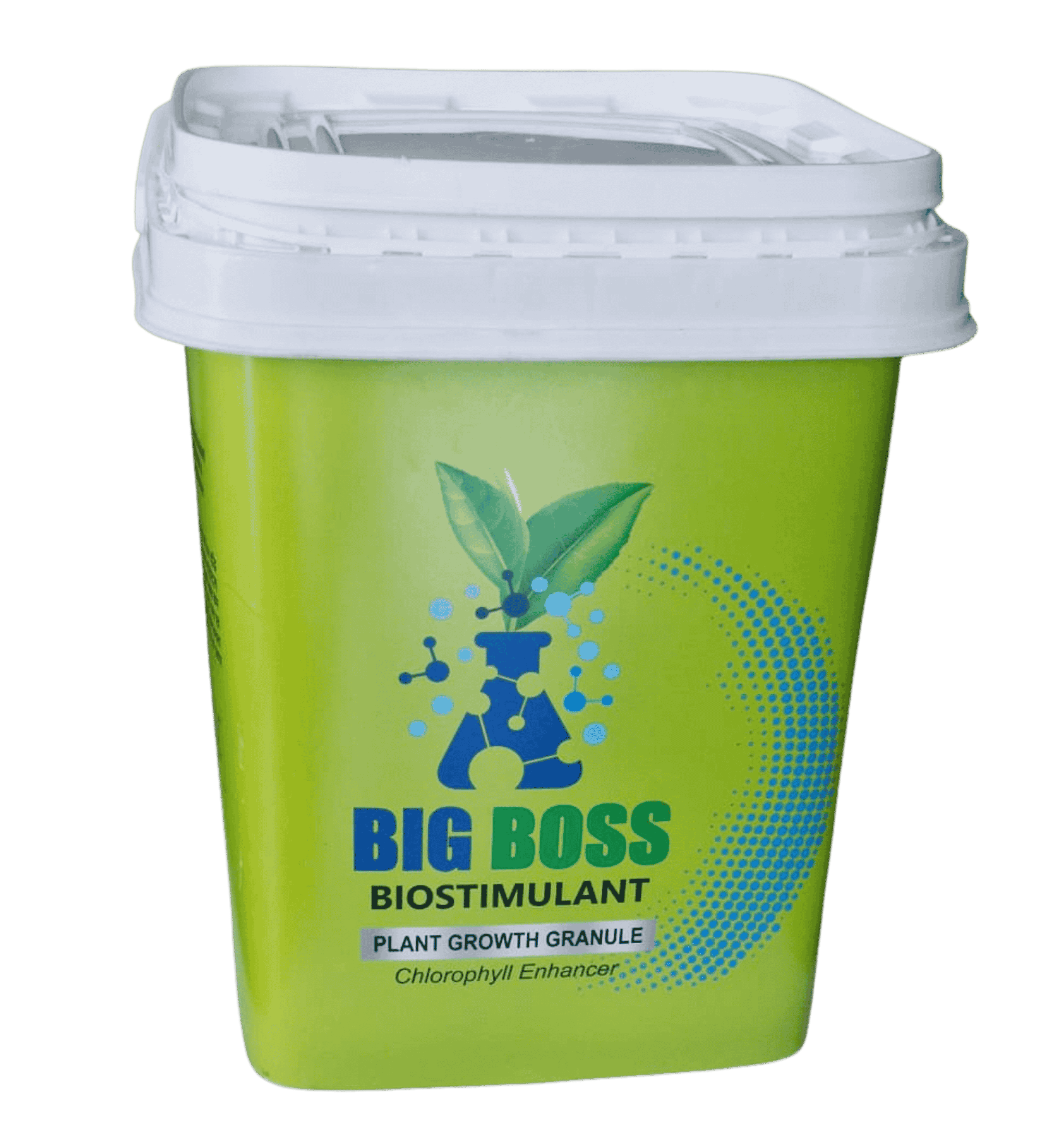 Big Boss