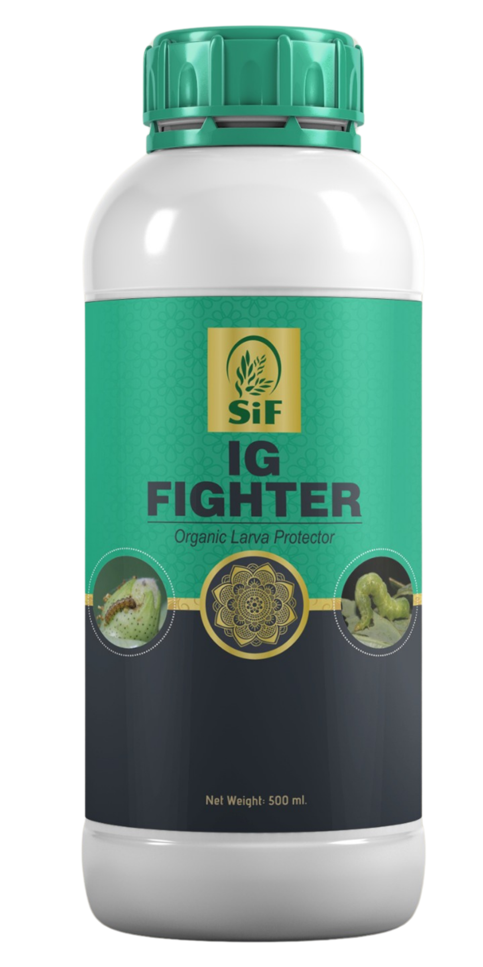 IG Fighter