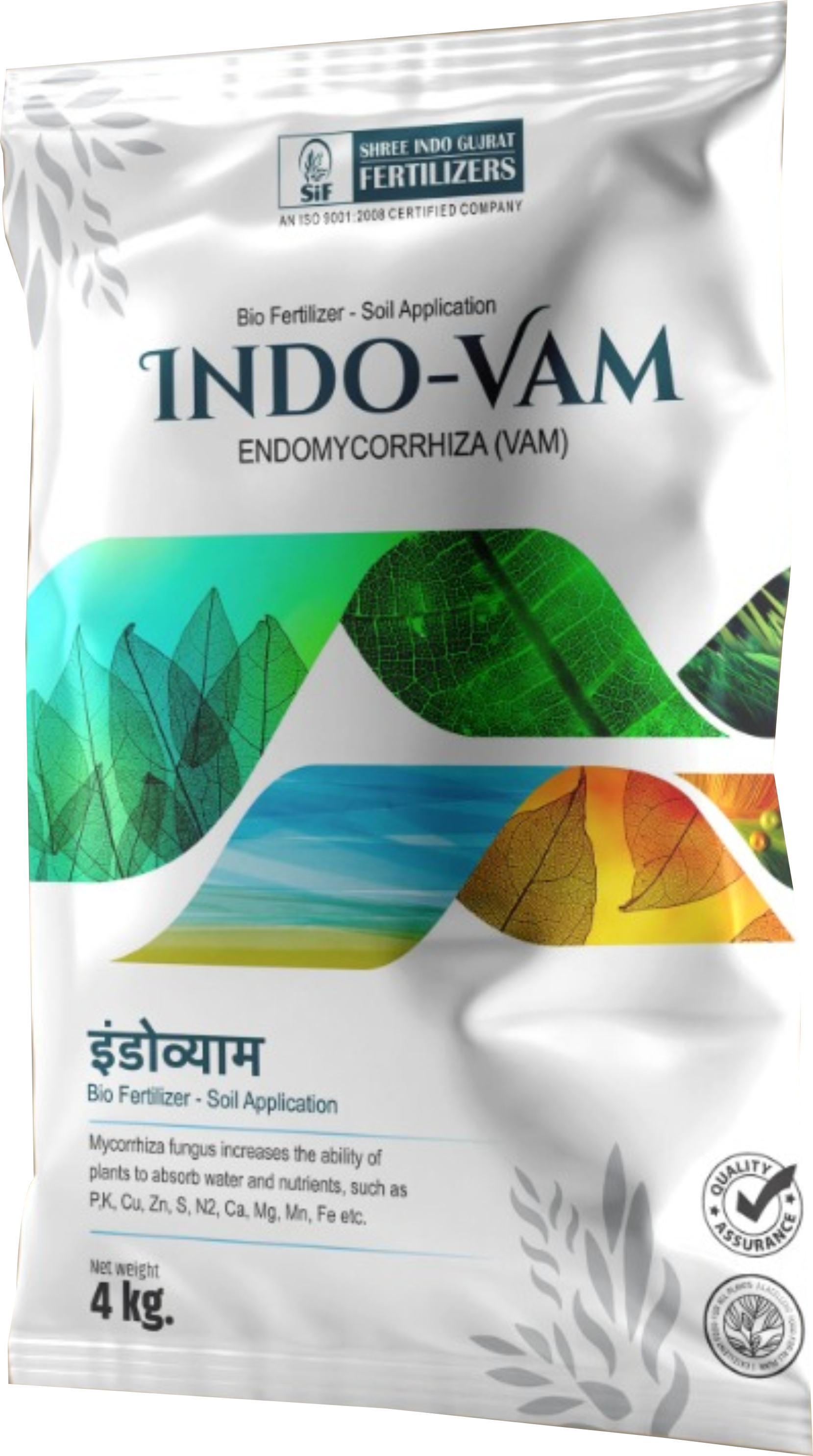 Indo-VAM Mycorrhiza